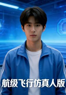 航级飞行仿真人版