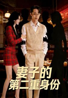 妻子的第二重身份