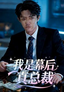 我是幕后真总裁