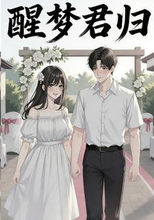 醒梦君归