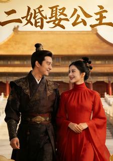 二婚娶公主