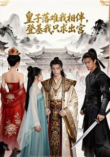 皇子落难我相伴，登基我只求出宫