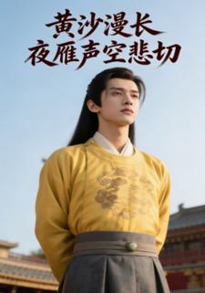 黄沙漫长夜，雁声空悲切