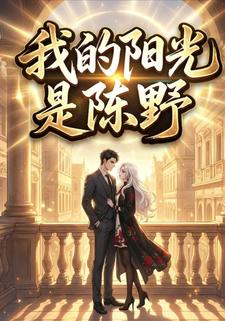 我的阳光是陈野