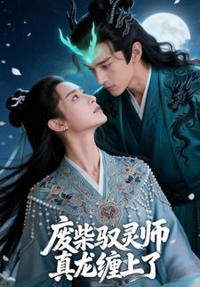 废柴驭灵师：退婚后被真龙缠上了