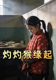 灼灼猴缘起