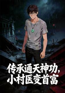 传承通天神功，小村医变首富
