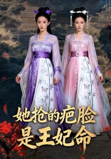 她抢的疤脸是王妃命
