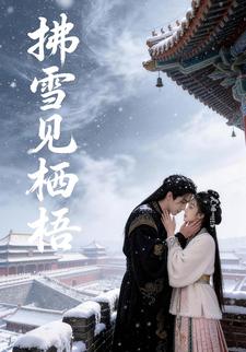 拂雪见栖梧