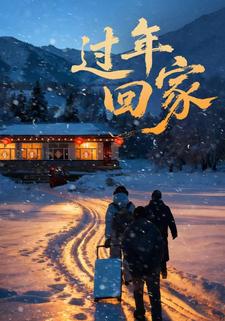 过年回家