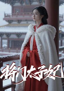 将门太子妃