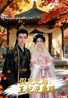 假死之后：王妃逆袭路