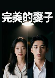 完美的妻子