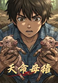 天命母猪