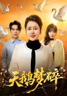 天鹅梦碎