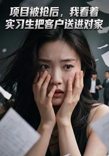 项目被抢后,我看着实习生把客户送进对家
