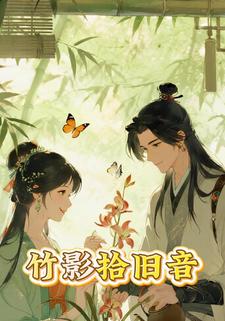 竹影拾旧音