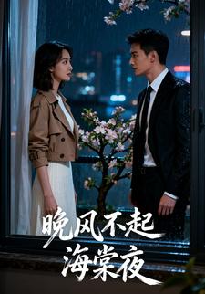 晚风不起海棠夜