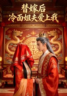 替嫁后 冷面姐夫爱上我
