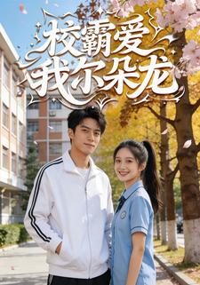 校霸爱我尔朵龙
