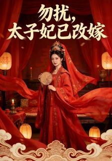 勿扰，太子妃已改嫁