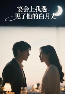 宴会上我遇见了他的白月光