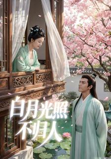 白月光照不归人