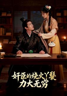 奸臣的烧火丫鬟力大无穷