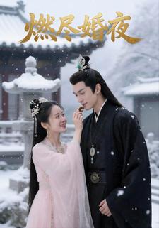 燃尽婚夜