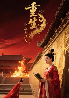 重生到选夫这天