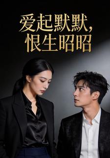 爱起默默，恨生昭昭