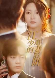 江少的追妻陷阱