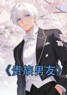 贵族男友