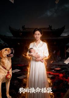 狗的换命福袋