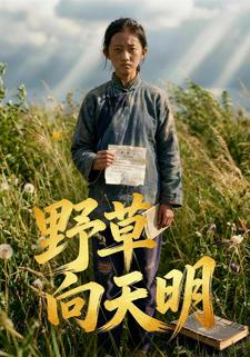 野草向天明