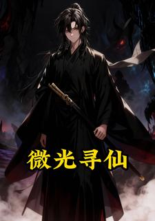 微光寻仙