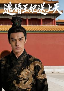 逃婚王妃送上天
