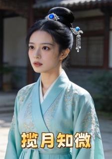 揽月知微
