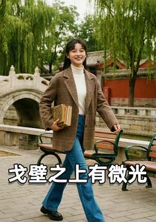 戈壁之上有微光