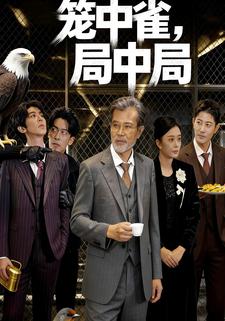 笼中雀之局中局