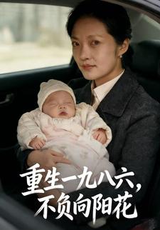 重生一九八六，不负向阳花