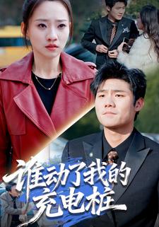 谁动了我的充电桩