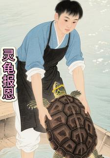 灵龟报恩.