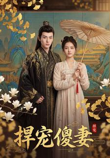 悍宠傻妻