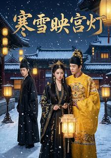 寒雪映宫灯