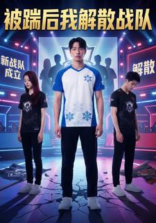 被踹后我解散战队
