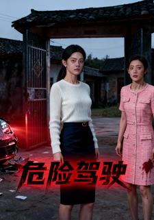 危险驾驶