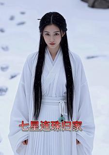 七星连珠归家