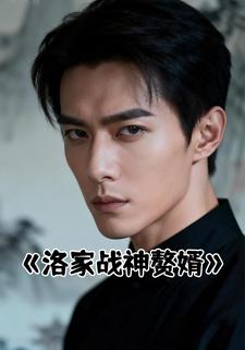 洛家战神赘婿