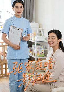 驱家庭暗影归途